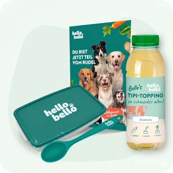 Willkommens-Set